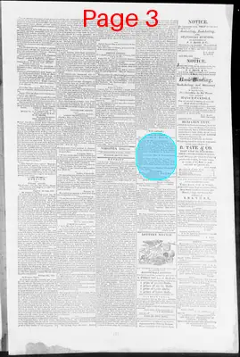Page thumbnail for Virginia Argus