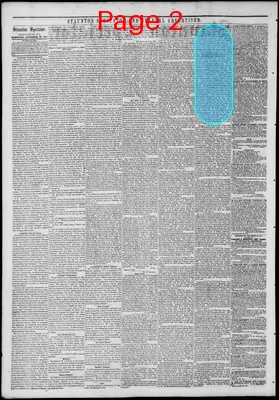 Page thumbnail for Staunton Spectator