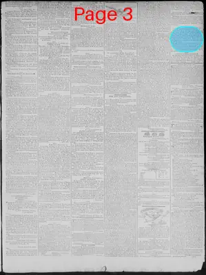 Page thumbnail for Richmond Enquirer