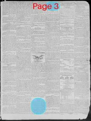 Page thumbnail for Richmond Enquirer