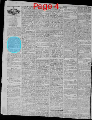 Page thumbnail for Richmond Enquirer