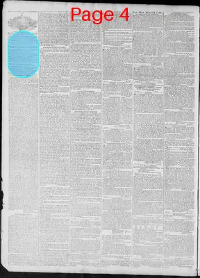 Page thumbnail for Richmond Enquirer