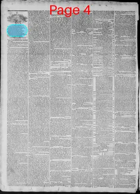 Page thumbnail for Richmond Enquirer