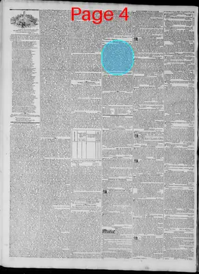 Page thumbnail for Richmond Enquirer