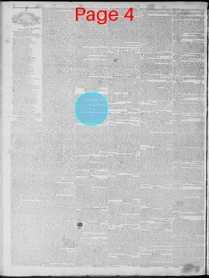 Page thumbnail for Richmond Enquirer