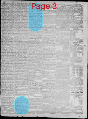 Page thumbnail for Richmond Enquirer