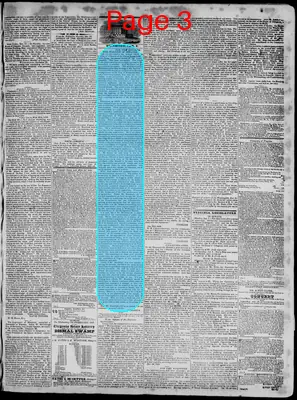 Page thumbnail for Richmond Enquirer