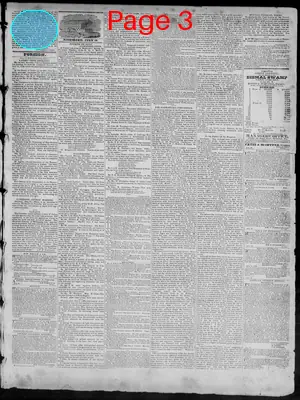 Page thumbnail for Richmond Enquirer