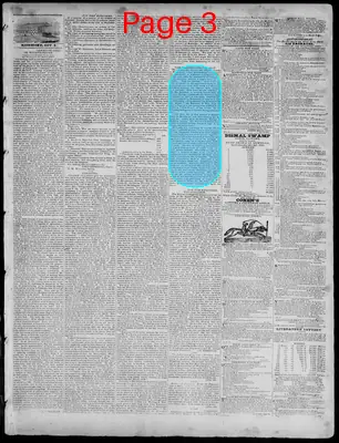 Page thumbnail for Richmond Enquirer