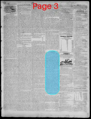 Page thumbnail for Richmond Enquirer