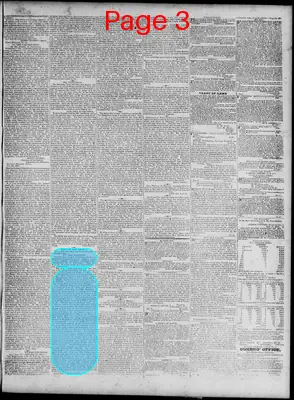 Page thumbnail for Richmond Enquirer