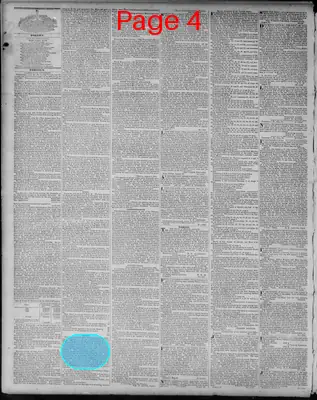 Page thumbnail for Richmond Enquirer
