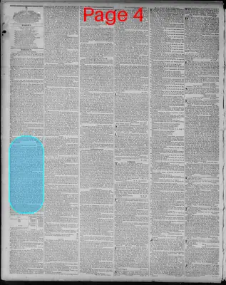 Page thumbnail for Richmond Enquirer