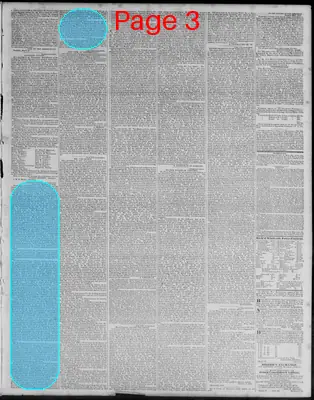 Page thumbnail for Richmond Enquirer