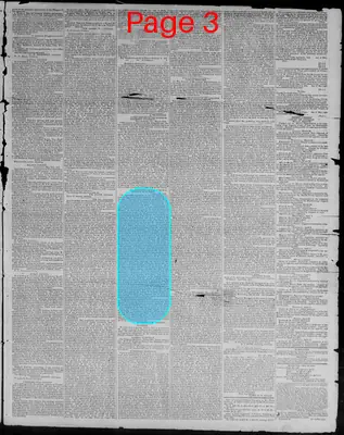 Page thumbnail for Richmond Enquirer
