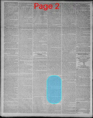 Page thumbnail for Richmond Enquirer
