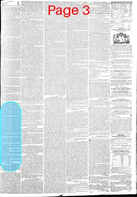 Page thumbnail for Richmond Enquirer