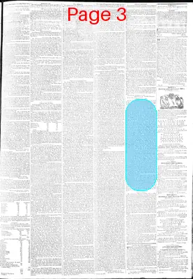 Page thumbnail for Richmond Enquirer