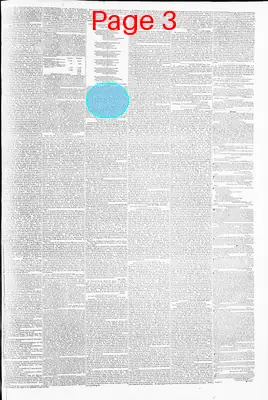 Page thumbnail for Richmond Enquirer