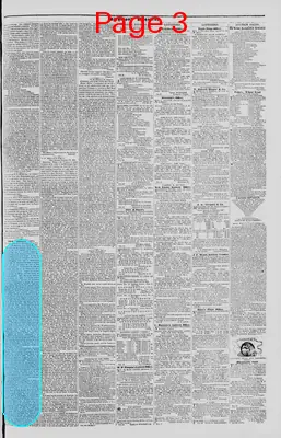 Page thumbnail for Richmond Enquirer