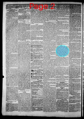 Page thumbnail for The Daily Dispatch