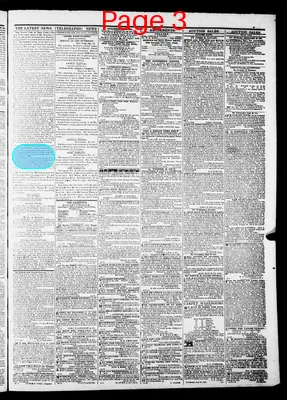 Page thumbnail for The Daily Dispatch