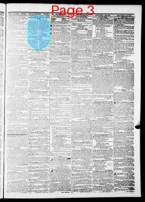 Page thumbnail for The Daily Dispatch