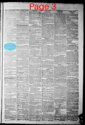 Page thumbnail for The Daily Dispatch