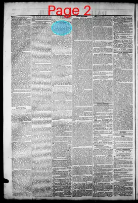 Page thumbnail for The Daily Dispatch