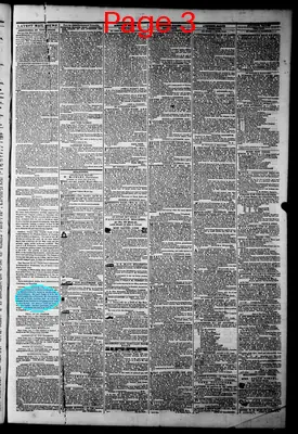 Page thumbnail for The Daily Dispatch