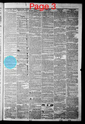 Page thumbnail for The Daily Dispatch