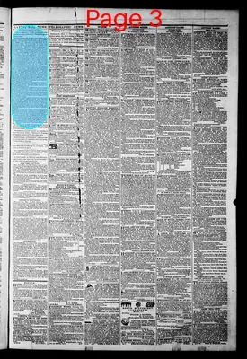 Page thumbnail for The Daily Dispatch