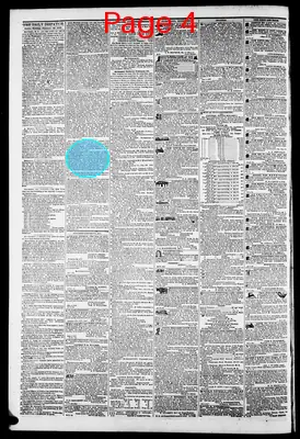 Page thumbnail for The Daily Dispatch