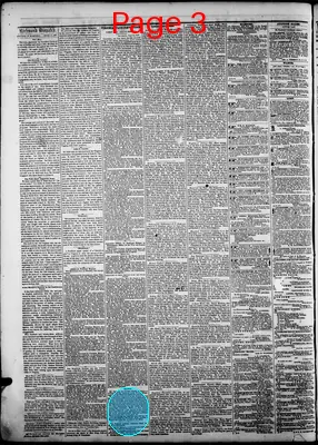 Page thumbnail for The Daily Dispatch
