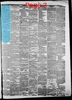 Page thumbnail for The Daily Dispatch