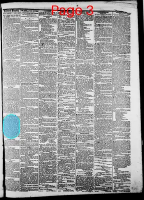 Page thumbnail for The Daily Dispatch
