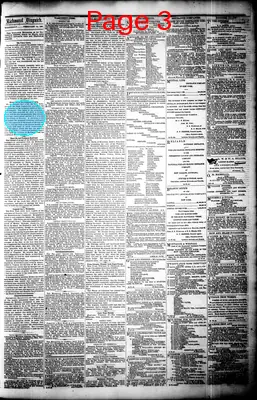 Page thumbnail for The Daily Dispatch