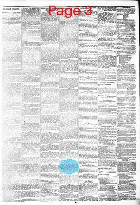Page thumbnail for The Daily Dispatch