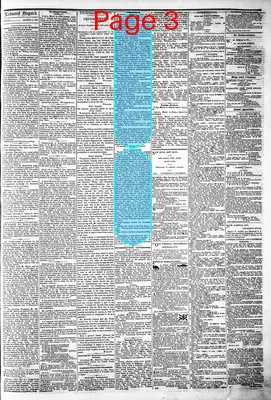 Page thumbnail for The Daily Dispatch