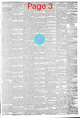 Page thumbnail for The Daily Dispatch