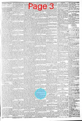Page thumbnail for The Daily Dispatch