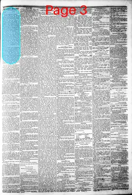 Page thumbnail for The Daily Dispatch