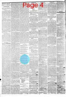 Page thumbnail for The Daily Dispatch