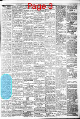 Page thumbnail for The Daily Dispatch
