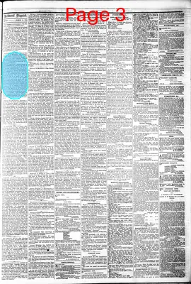 Page thumbnail for The Daily Dispatch