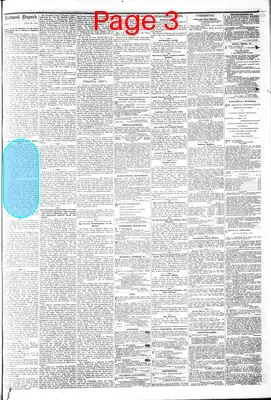 Page thumbnail for The Daily Dispatch