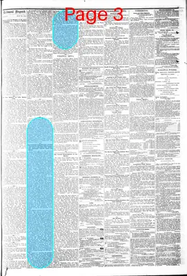Page thumbnail for The Daily Dispatch