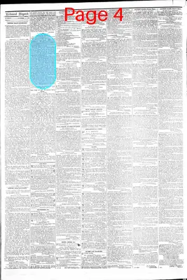 Page thumbnail for The Daily Dispatch