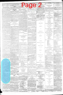Page thumbnail for The Daily Dispatch