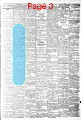 Page thumbnail for The Daily Dispatch